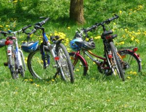 bicycles-6895_1920