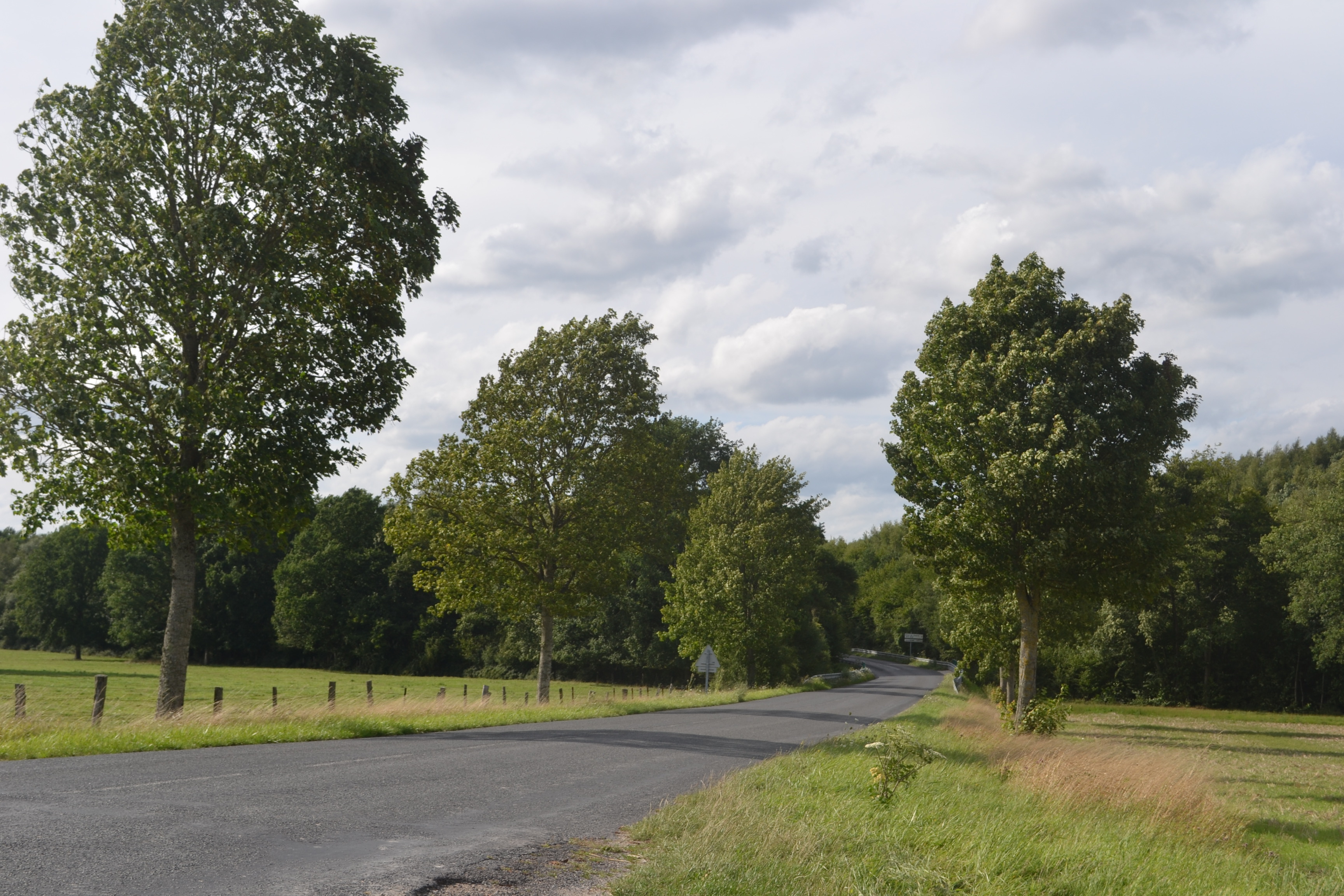 Venir en Argonne OT du Pays d'Argonne Champenoise