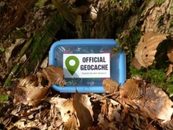 geocache-398016_640