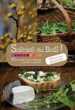 sortie du bois